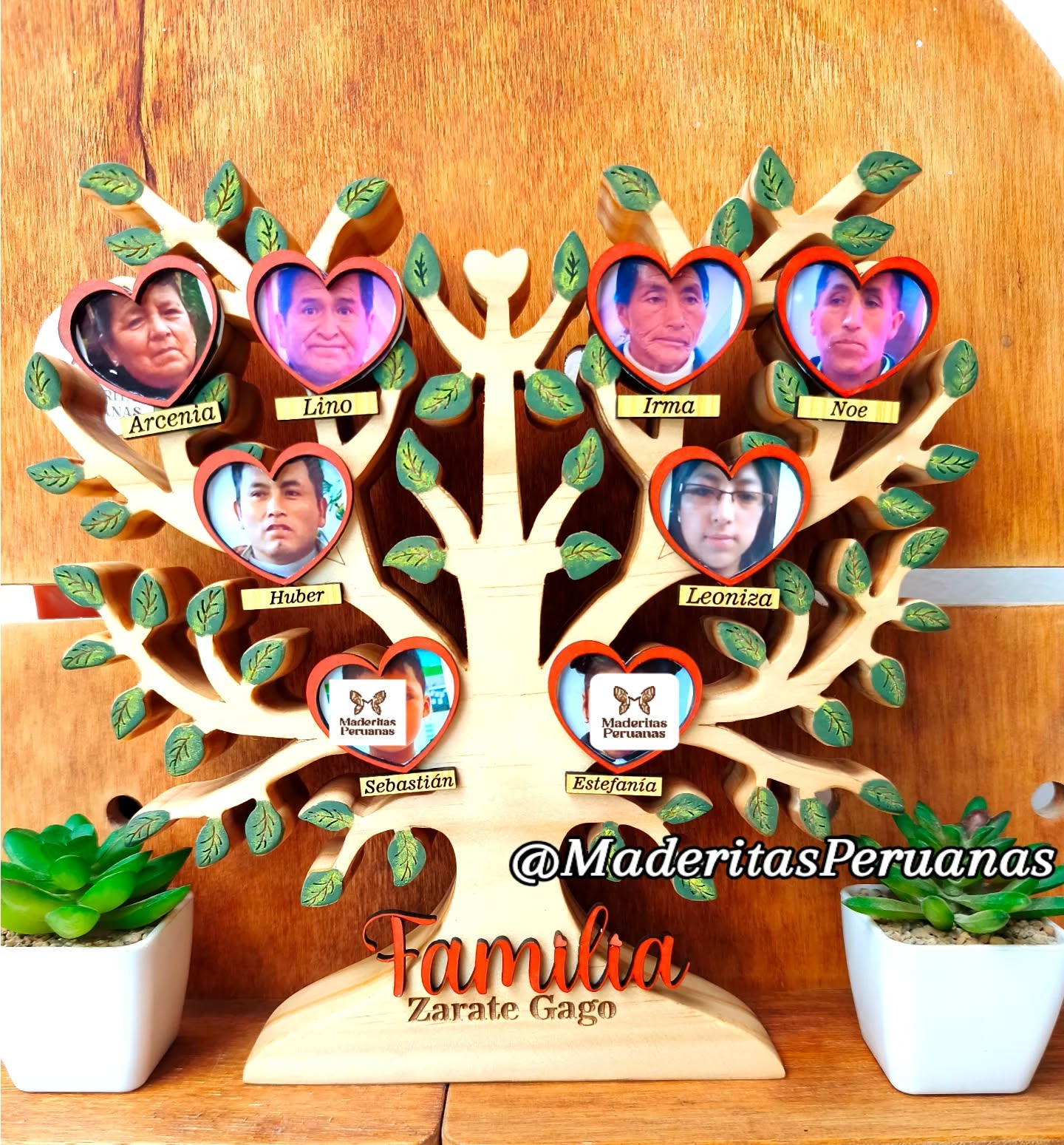 Arbol familiar con fotos